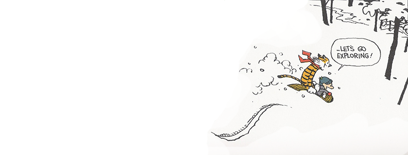 Profile banner